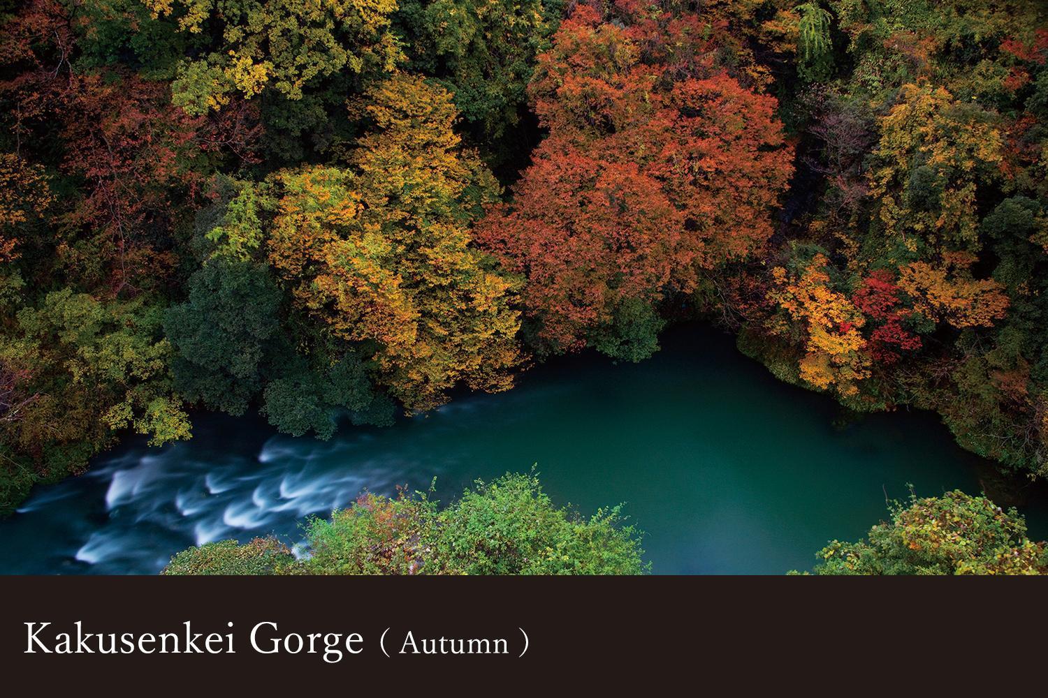 Hotel Yamanaka Onsen Kissho Yamanaka Kaga  Esterno foto