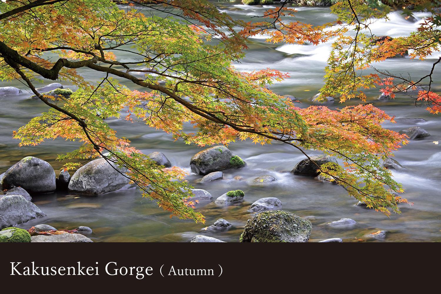 Hotel Yamanaka Onsen Kissho Yamanaka Kaga  Esterno foto